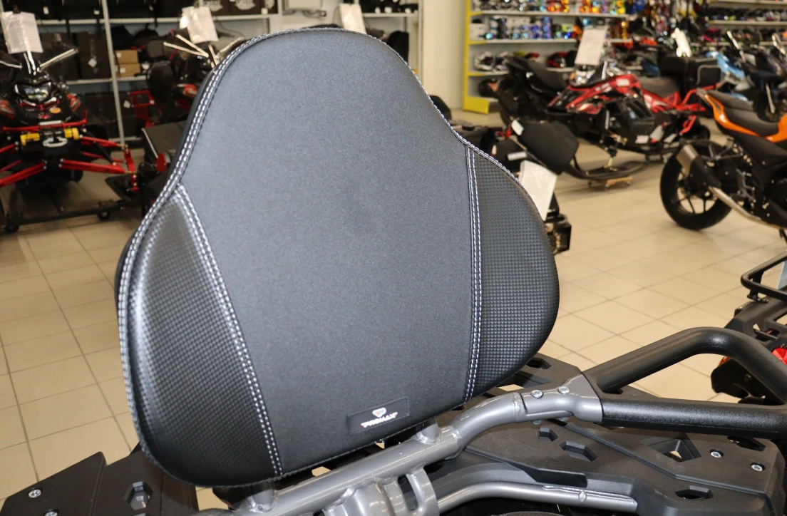 Квадроцикл PROMAX RENEGADE 300 LONG WINCH PRO (2025) в Ухте