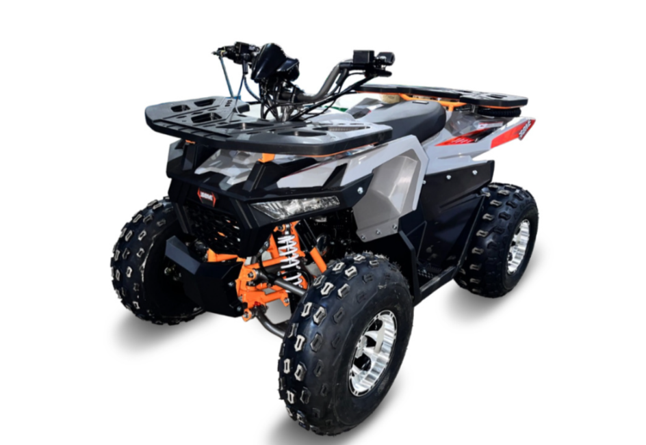 Квадроцикл GBM DAXTER 220 NEW PREMIUM в Ухте