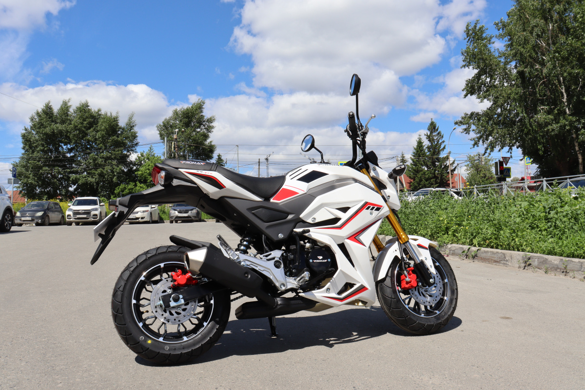 Мотоцикл PROMAX STRYKER 200(49) 2.0 в Ухте