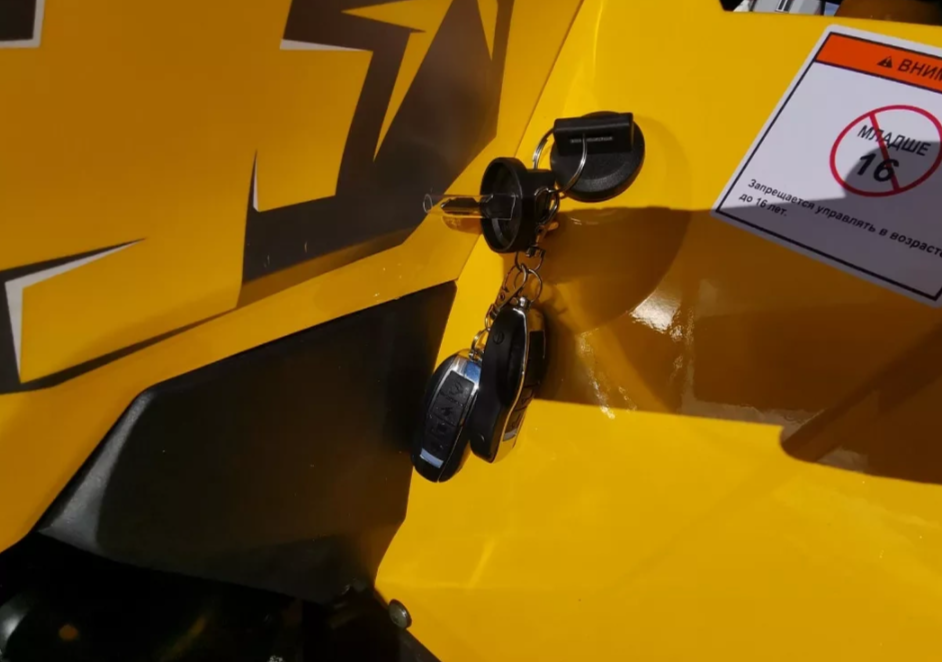 Квадроцикл MOTOLAND (МОТОЛЕНД) VOX200 WILD TRACK X PRO (баланс. вал) в Ухте