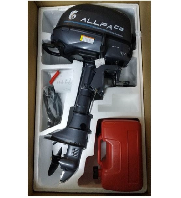 Лодочный мотор ALLFA CG F6 в Ухте