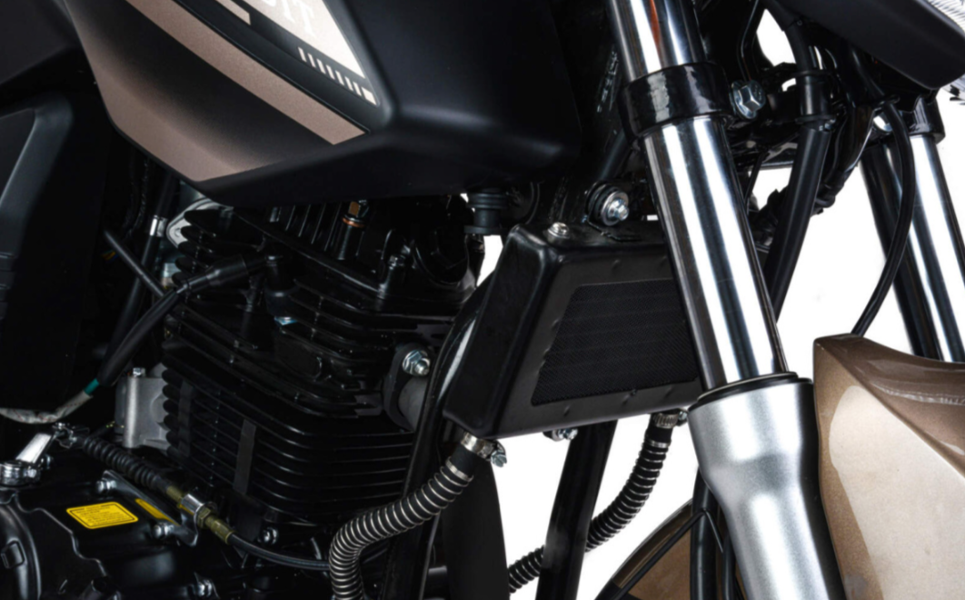 Мотоцикл MOTOLAND (МОТОЛЕНД) 300 BANDIT в Ухте