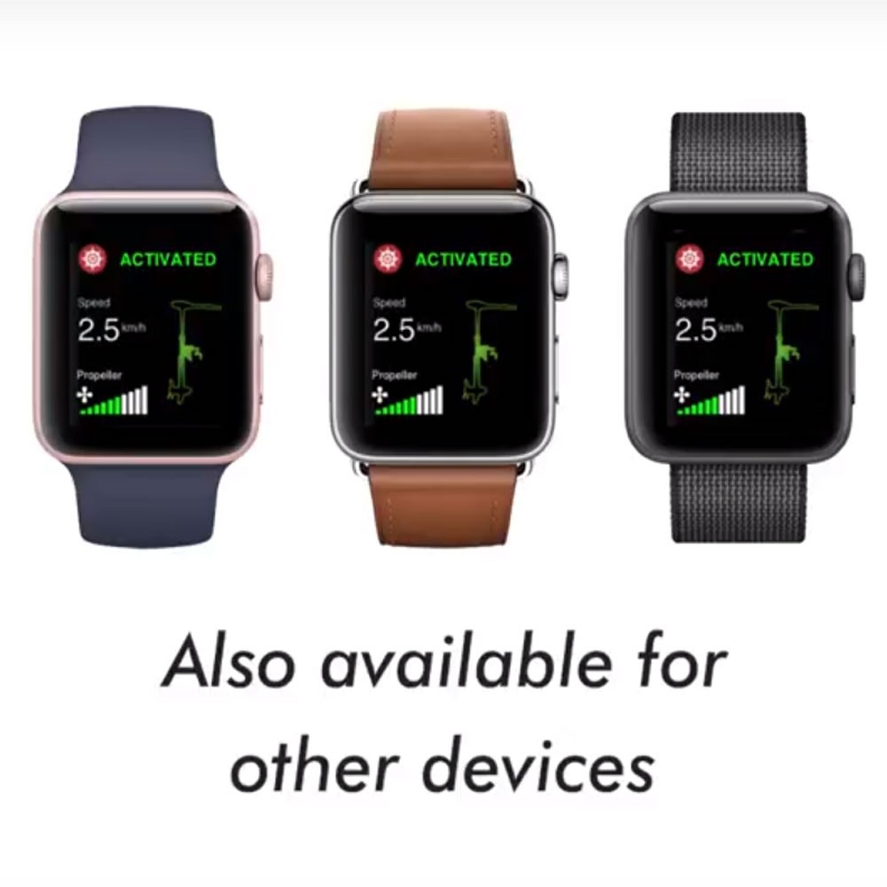 Лодочный электромотор якорь Haswing Cayman B, GPS, 12V, 55Lbs, нога 137 мм в Ухте