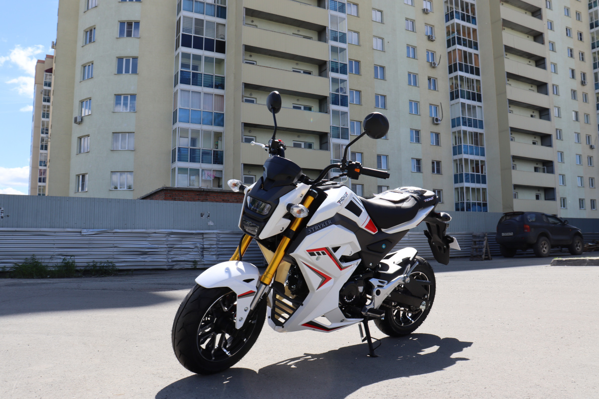 Мотоцикл PROMAX STRYKER 200(49) 2.0 в Ухте