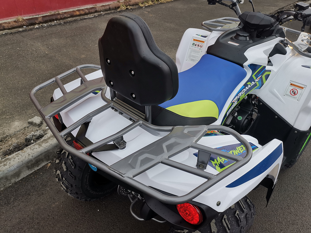 Квадроцикл PROMAX RENEGADE 280 LUX (2025) в Ухте