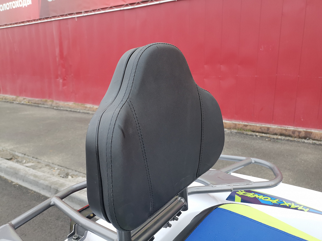 Квадроцикл PROMAX RENEGADE 280 LUX (2025) в Ухте