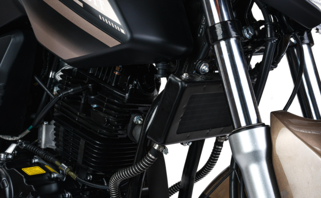 Мотоцикл MOTOLAND (МОТОЛЕНД) 300 BANDIT в Ухте