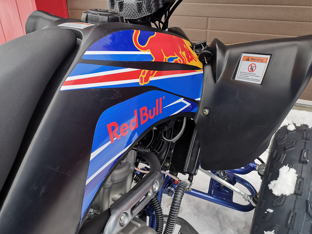 Квадроцикл PROMAX RAPTOR 300 NEW RedBull в Ухте