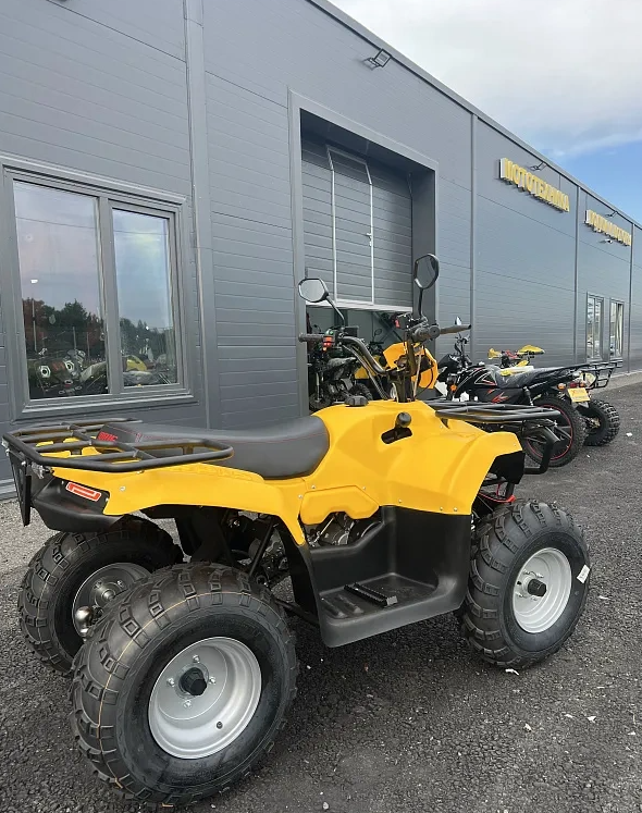 КВАДРОЦИКЛ IRBIS ATV 250  в Ухте