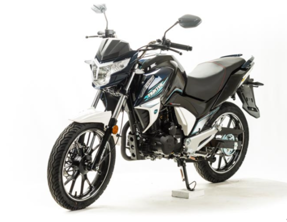 Мотоцикл MOTOLAND (МОТОЛЕНД) FIGHTER 250 в Ухте