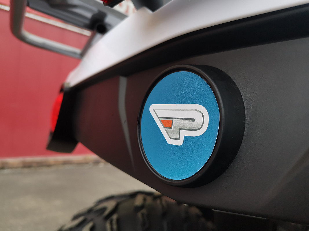Квадроцикл PROMAX RENEGADE 280 LUX (2025) в Ухте