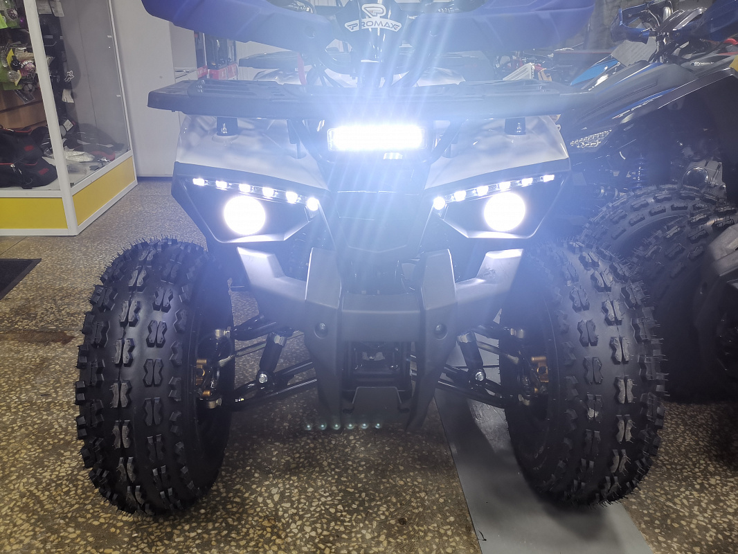 Квадроцикл PROMAX WILD 175 LUX в Ухте