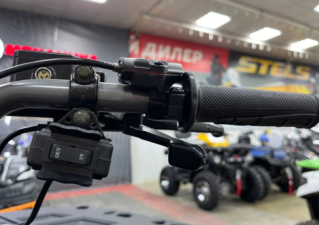 Квадроцикл PROMAX RENEGADE 300 LONG WINCH PRO (2025) в Ухте