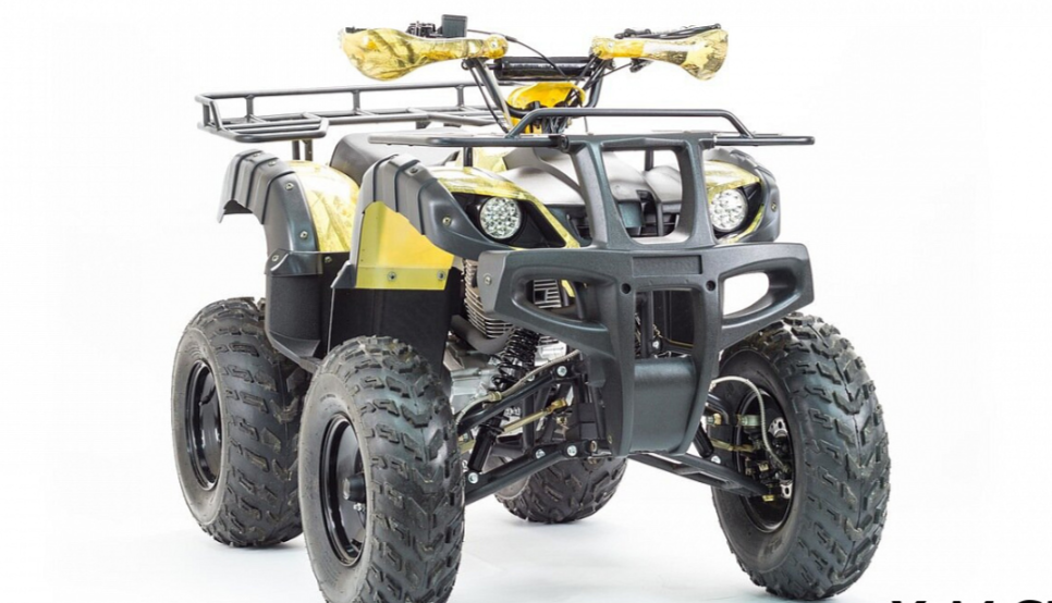 Квадроцикл MOTOLAND (МОТОЛЕНД) 250 ADVENTURE в Ухте