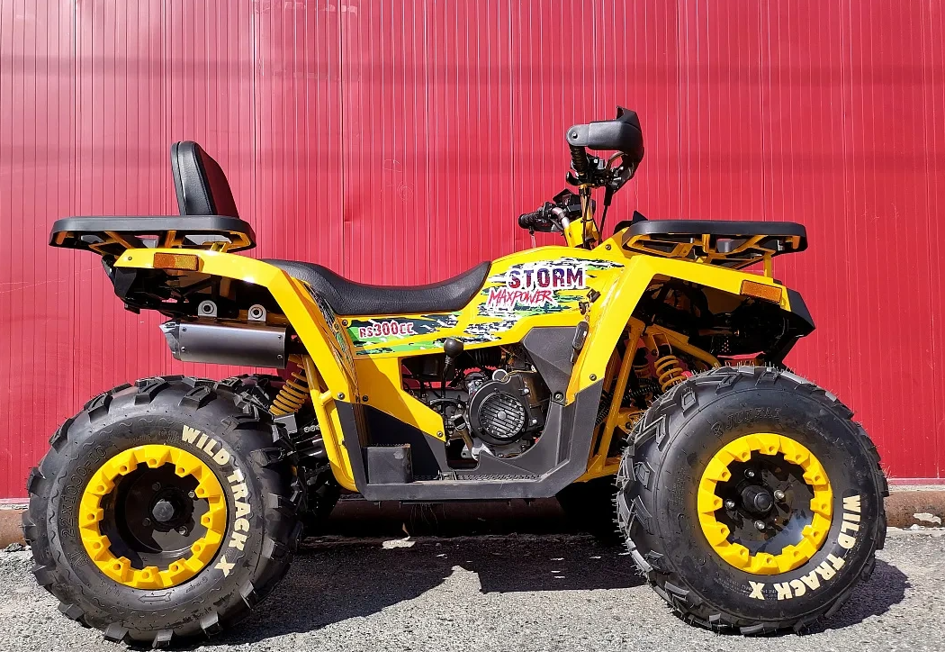 Квадроцикл PROMAX STORM 280 LUX в Ухте