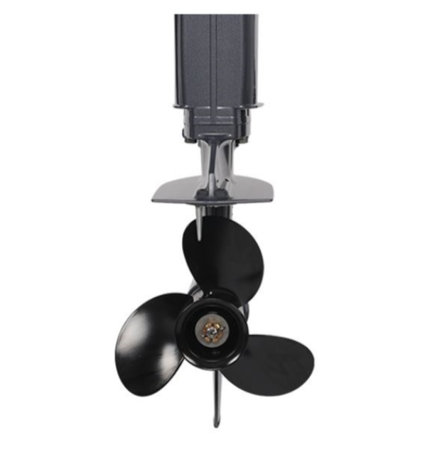 Лодочный мотор ALLFA CG Т40FW S в Ухте