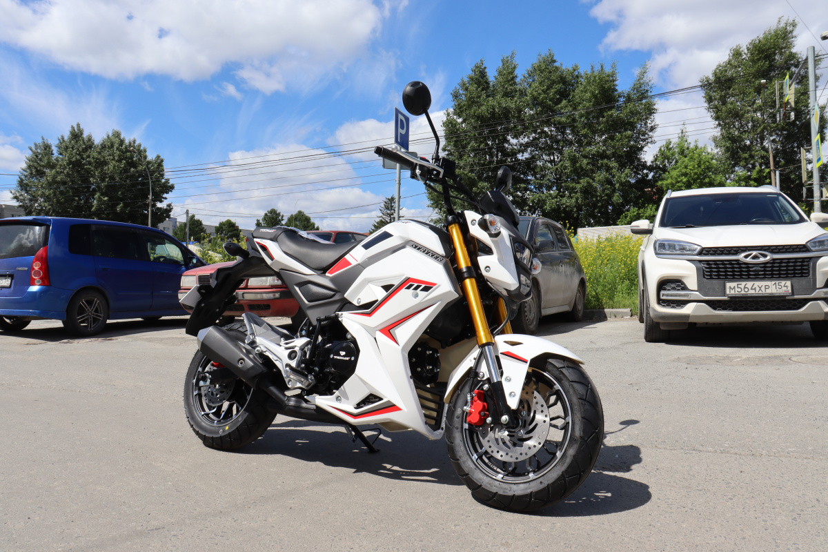 Мотоцикл PROMAX STRYKER 200(49) 2.0 в Ухте