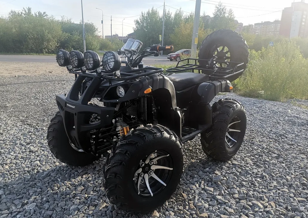 Квадроцикл PROMAX LEO 300 Max (кардан) в Ухте