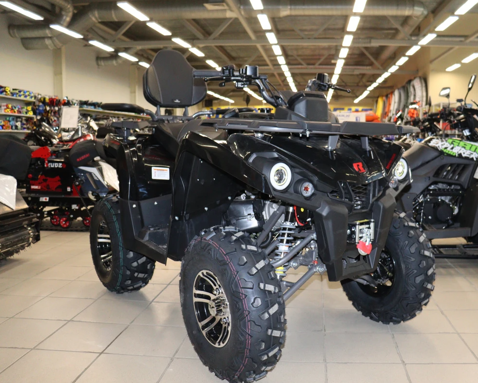 Квадроцикл PROMAX RENEGADE 300 LONG WINCH PRO (2025) в Ухте
