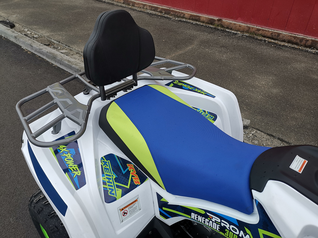 Квадроцикл PROMAX RENEGADE 280 LUX (2025) в Ухте