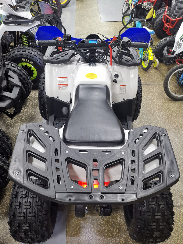 Квадроцикл PROMAX WILD 175 LUX в Ухте