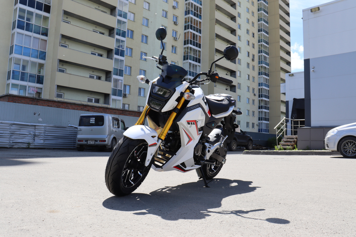 Мотоцикл PROMAX STRYKER 200(49) 2.0 в Ухте