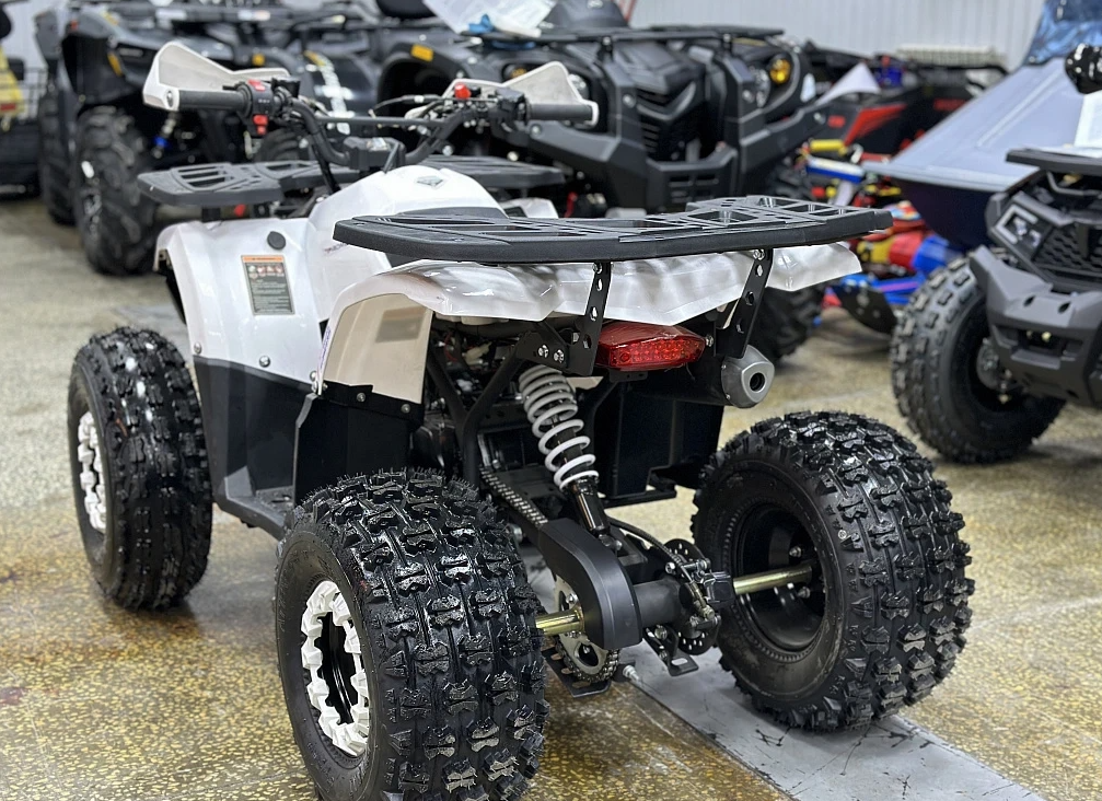 Квадроцикл PROMAX WILD 2.0 190 в Ухте