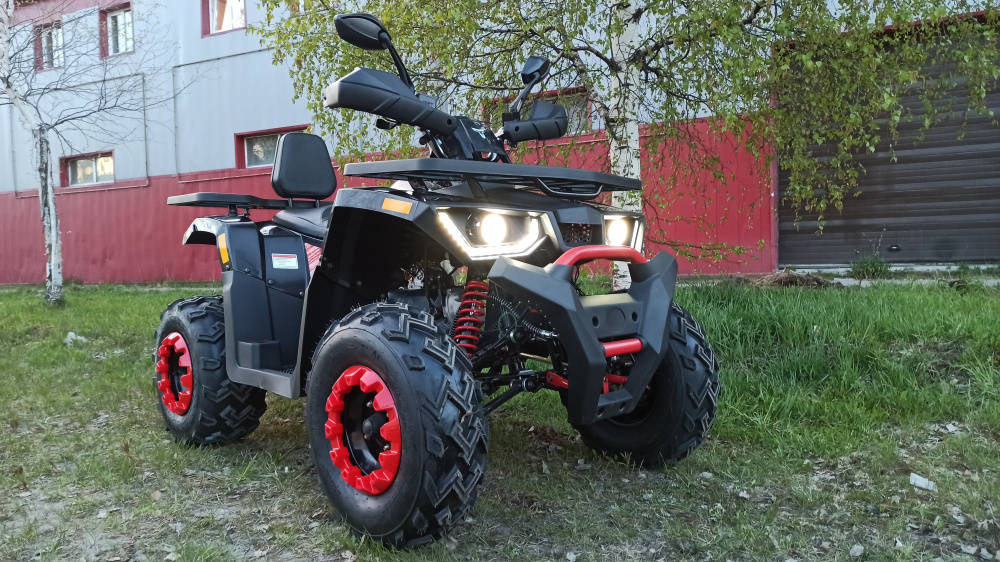 Квадроцикл PROMAX WILD 300 LUX (2024) в Ухте