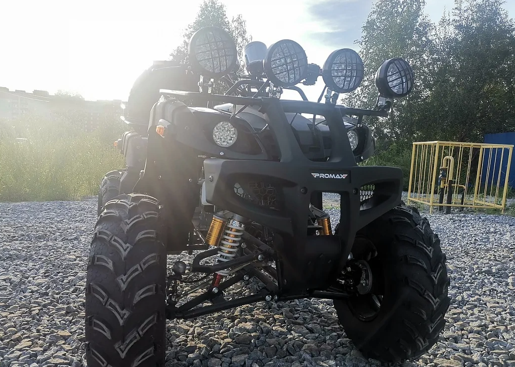 Квадроцикл PROMAX LEO 300 Max (кардан) в Ухте