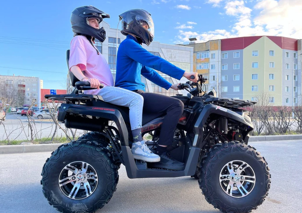 Квадроцикл PROMAX RENEGADE 300 LONG WINCH PRO (2025) в Ухте