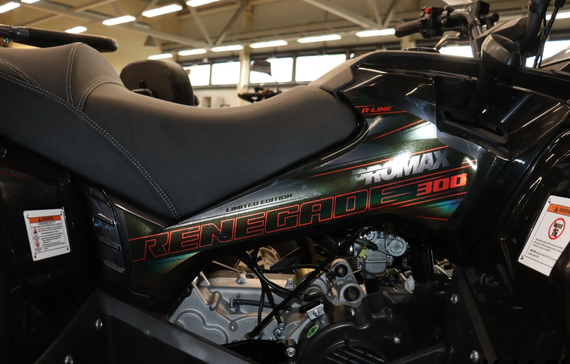 Квадроцикл PROMAX RENEGADE 300 LONG WINCH PRO (2025) в Ухте