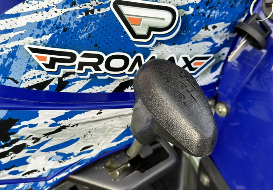  Квадроцикл PROMAX ATV 250 MAX (2025) в Ухте