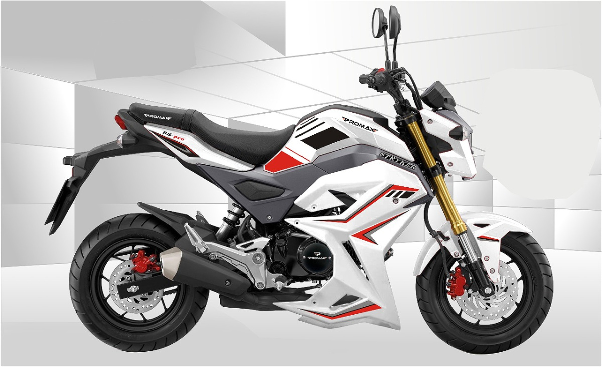 Мотоцикл PROMAX STRYKER 200(49) 2.0 в Ухте