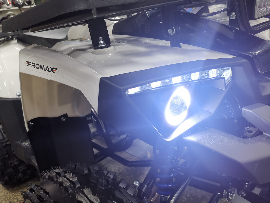Квадроцикл PROMAX WILD 175 LUX в Ухте