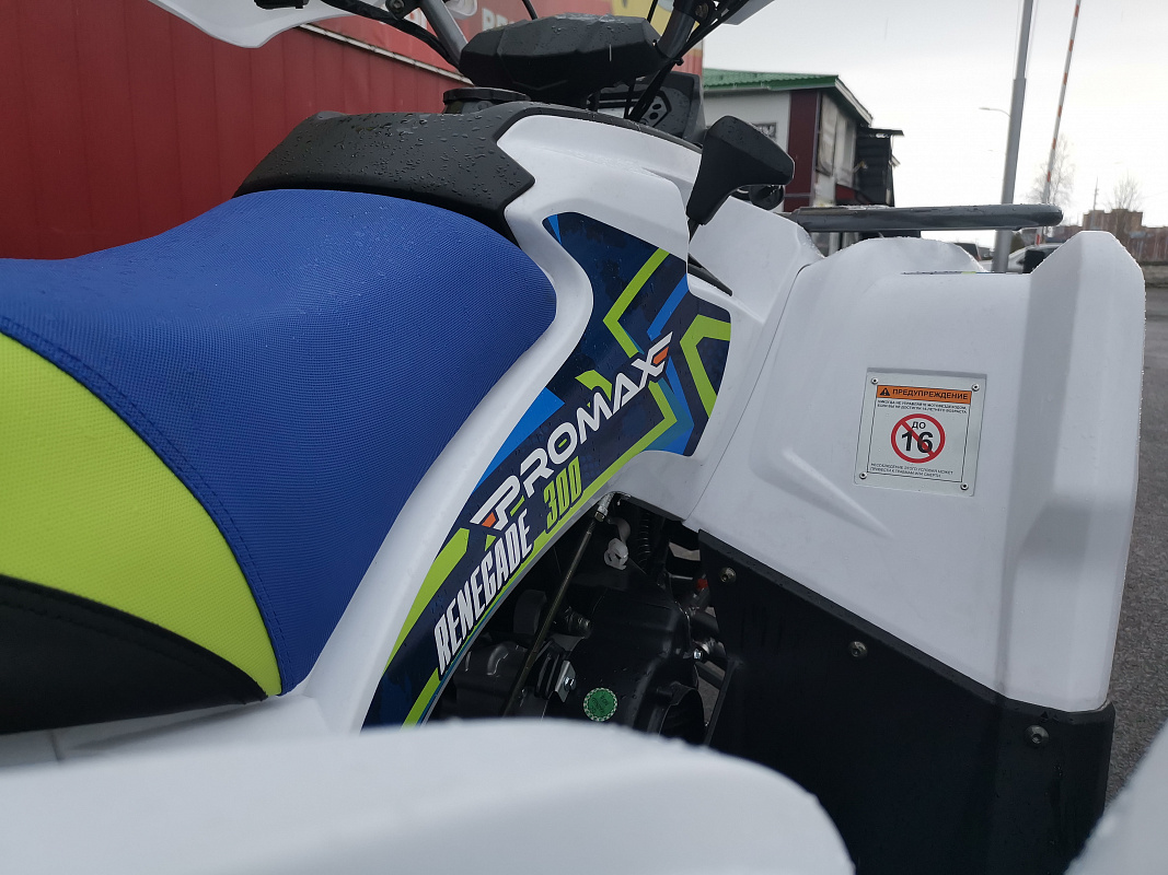 Квадроцикл PROMAX RENEGADE 280 LUX (2025) в Ухте