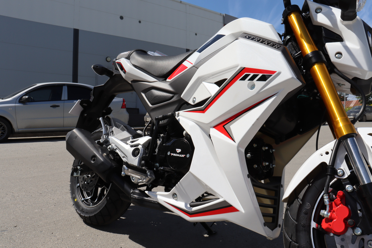 Мотоцикл PROMAX STRYKER 200(49) 2.0 в Ухте