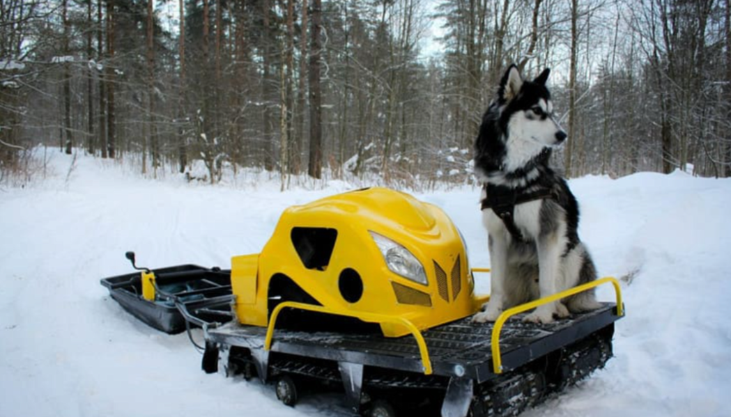 Мотобуксировщик LEBEDEV MOTORS ВОЛКОДАВ POWER V13 в Ухте