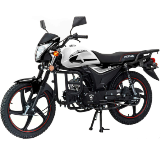 Мопед MOTOLAND (МОТОЛЕНД) Альфа RS 11 (LM48-B) в Ухте