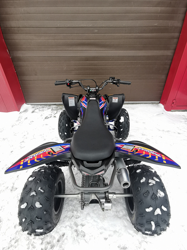 Квадроцикл PROMAX RAPTOR 300 NEW RedBull в Ухте