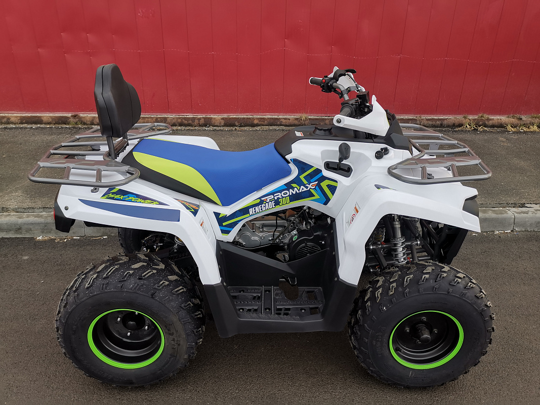 Квадроцикл PROMAX RENEGADE 280 LUX (2025) в Ухте