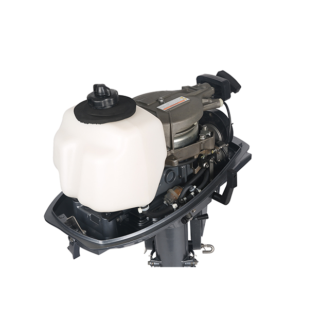 ЛОДОЧНЫЙ МОТОР ALLFA CG T5 в Ухте