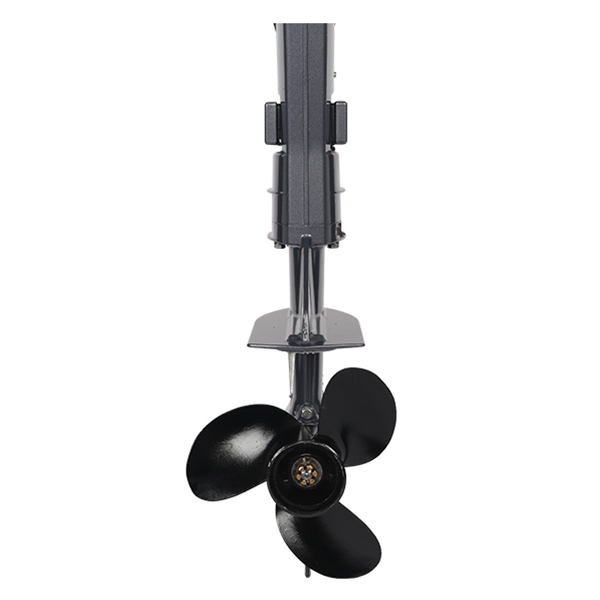 ЛОДОЧНЫЙ МОТОР ALLFA CG T9,8 Limit в Ухте