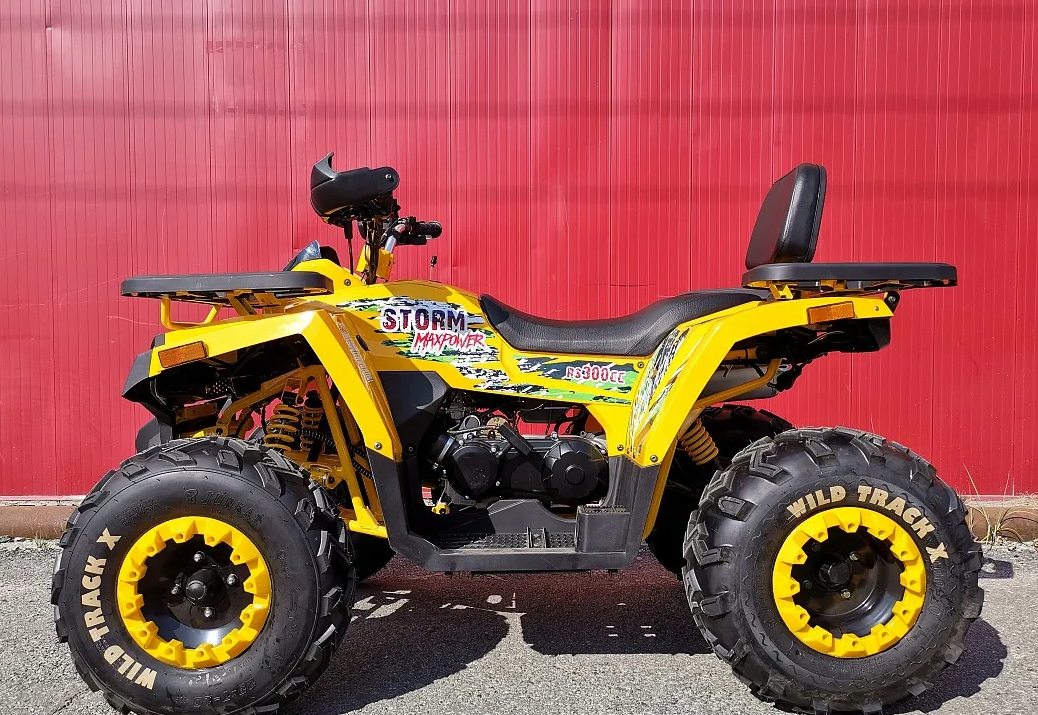 Квадроцикл PROMAX STORM 280 LUX в Ухте