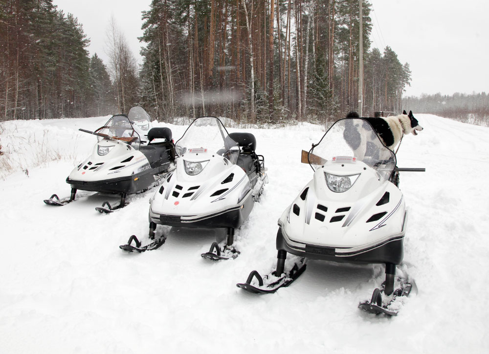 СНЕГОХОД РМ ТАЙГА ВАРЯГ 550 V в Ухте