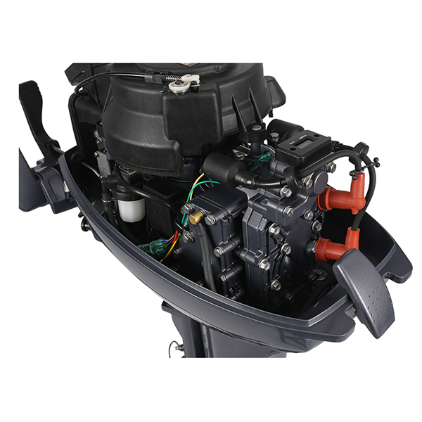 ЛОДОЧНЫЙ МОТОР ALLFA CG Т9,9 Limit в Ухте