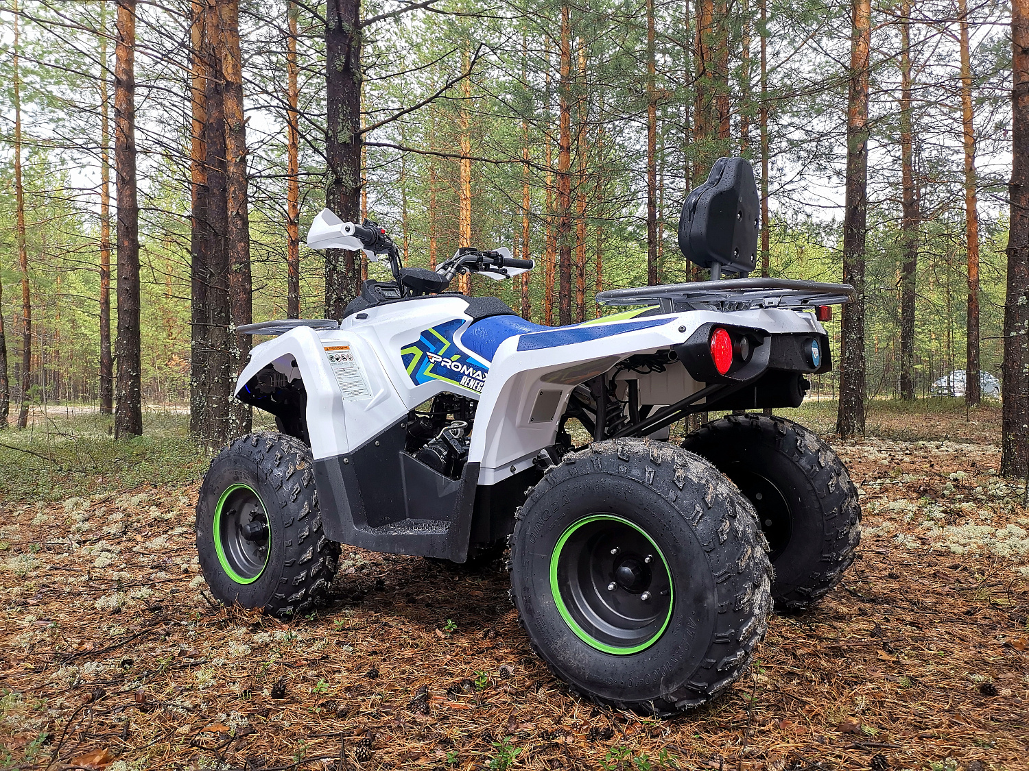 Квадроцикл PROMAX RENEGADE 280 (2025) в Ухте