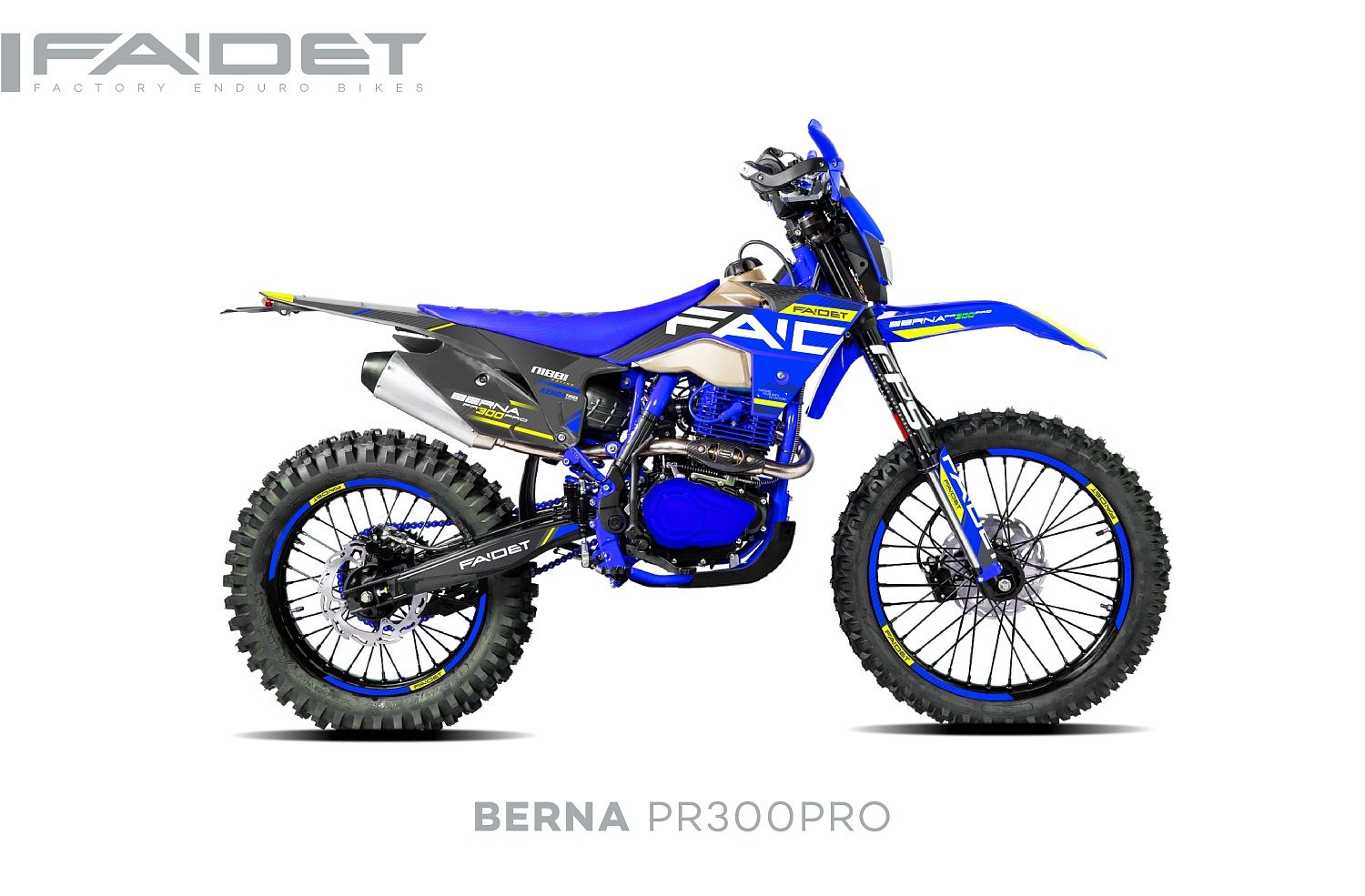 Кроссовый мотоцикл FAIDET BERNA PR300-PRO FPS в Ухте