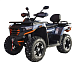 Квадроцикл MOTOLAND (МОТОЛЕНД) 300 MAX X в Ухте