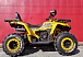 Квадроцикл PROMAX STORM 280 LUX в Ухте