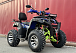  Квадроцикл PROMAX ATV 250 MAX (2025) в Ухте
